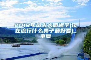 2019年鼻头大面相学(现在流行什么鼻子最好看)_重复