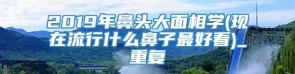 2019年鼻头大面相学(现在流行什么鼻子最好看)_重复