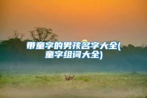 带童字的男孩名字大全(童字组词大全)