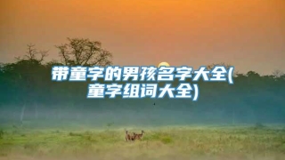 带童字的男孩名字大全(童字组词大全)