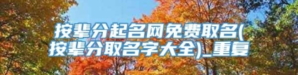 按辈分起名网免费取名(按辈分取名字大全)_重复