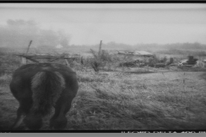 百度袁天罡称骨算命(袁天罡称骨歌卜算)