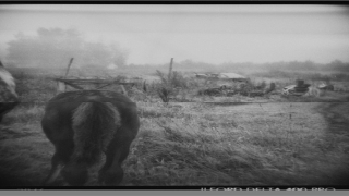 百度袁天罡称骨算命(袁天罡称骨歌卜算)