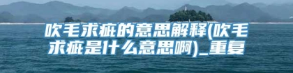 吹毛求疵的意思解释(吹毛求疵是什么意思啊)_重复