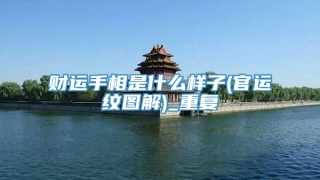 财运手相是什么样子(官运纹图解)_重复