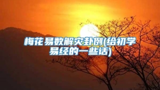 梅花易数解灾卦例(给初学易经的一些话)