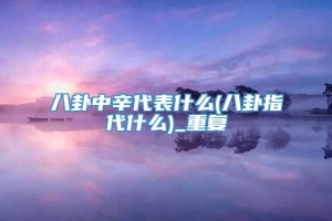 八卦中辛代表什么(八卦指代什么)_重复