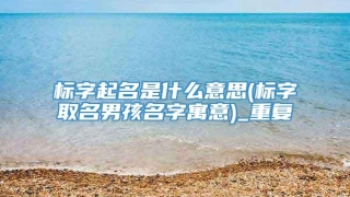 标字起名是什么意思(标字取名男孩名字寓意)_重复