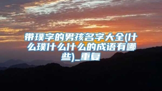 带璞字的男孩名字大全(什么璞什么什么的成语有哪些)_重复