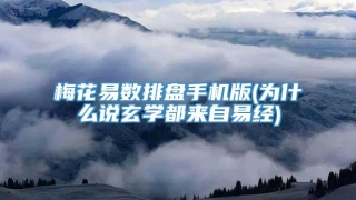 梅花易数排盘手机版(为什么说玄学都来自易经)