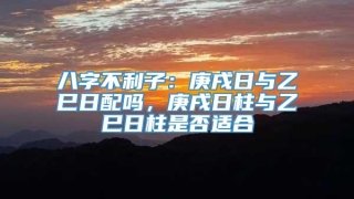 八字不利子:庚戌日与乙巳日配吗,庚戌日柱与乙巳日柱是否适合