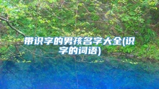 带识字的男孩名字大全(识字的词语)