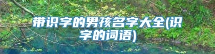 带识字的男孩名字大全(识字的词语)