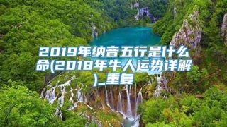 2019年纳音五行是什么命(2018年牛人运势详解)_重复