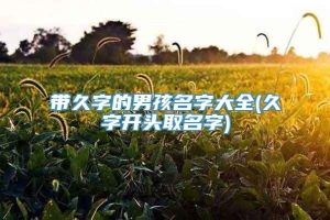 带久字的男孩名字大全(久字开头取名字)