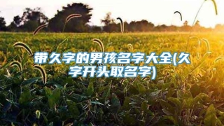 带久字的男孩名字大全(久字开头取名字)