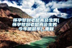 怀孕梦到老鼠真会生男(怀孕梦到老鼠真会生男 今年是鼠年)_重复