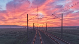 大鹏算卦血光之灾是什么电影(高考595分我沦为奶奶养老工具)