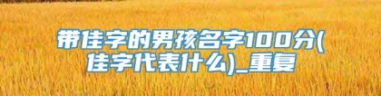 带佳字的男孩名字100分(佳字代表什么)_重复