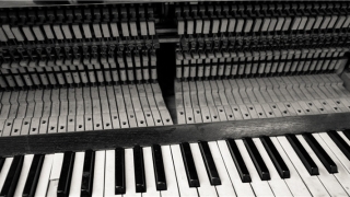 带香字的女孩名字(香字的寓意)