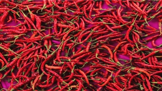 老人说梦见下雪要倒霉(老是梦见下雪)