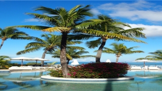 男人好命富贵的面相(这六种面相的人婚后会大富大贵)