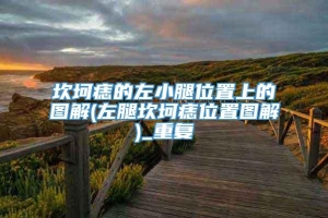 坎坷痣的左小腿位置上的图解(左腿坎坷痣位置图解)_重复