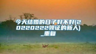 今天结婚的日子好不好(20220222领证的新人)_重复