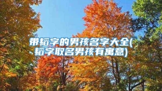 带韬字的男孩名字大全(韬字取名男孩有寓意)