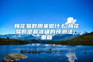 梅花易数用来做什么(梅花易数是最准确的预测法)_重复