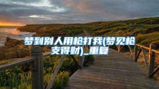 梦到别人用枪打我(梦见枪支得财)_重复