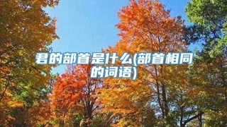 君的部首是什么(部首相同的词语)