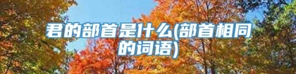 君的部首是什么(部首相同的词语)