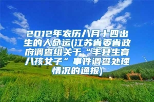 2012年农历八月十四出生的人命运(江苏省委省政府调查组关于“丰县生育八孩女子”事件调查处理情况的通报)