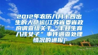 2012年农历八月十四出生的人命运(江苏省委省政府调查组关于“丰县生育八孩女子”事件调查处理情况的通报)