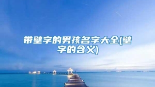带壁字的男孩名字大全(壁字的含义)
