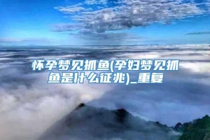 怀孕梦见抓鱼(孕妇梦见抓鱼是什么征兆)_重复