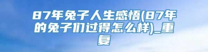 87年兔子人生感悟(87年的兔子们过得怎么样)_重复