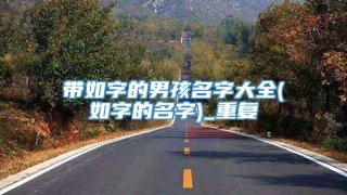 带如字的男孩名字大全(如字的名字)_重复