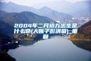 2004年二月初九出生是什么命(人贩子彭洪菊)_重复