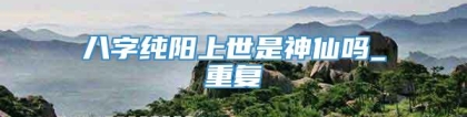 八字纯阳上世是神仙吗_重复