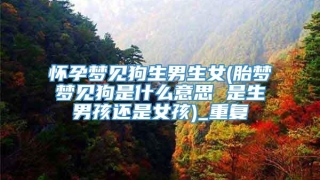 怀孕梦见狗生男生女(胎梦梦见狗是什么意思 是生男孩还是女孩)_重复