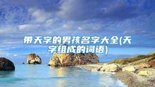 带天字的男孩名字大全(天字组成的词语)