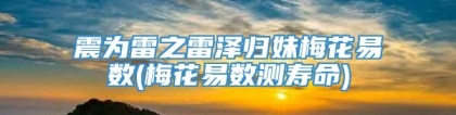 震为雷之雷泽归妹梅花易数(梅花易数测寿命)