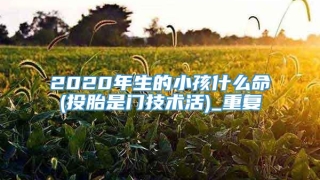 2020年生的小孩什么命(投胎是门技术活)_重复