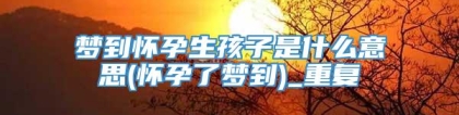 梦到怀孕生孩子是什么意思(怀孕了梦到)_重复
