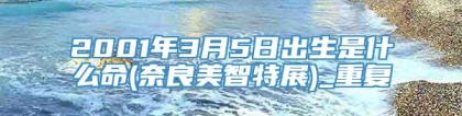 2001年3月5日出生是什么命(奈良美智特展)_重复