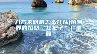 八方来财树怎么扦插(植物界的招财“扛把子”)_重复