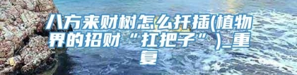 八方来财树怎么扦插(植物界的招财“扛把子”)_重复