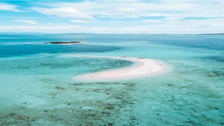 男人眉毛短而淡好吗(眉毛短淡的男人)